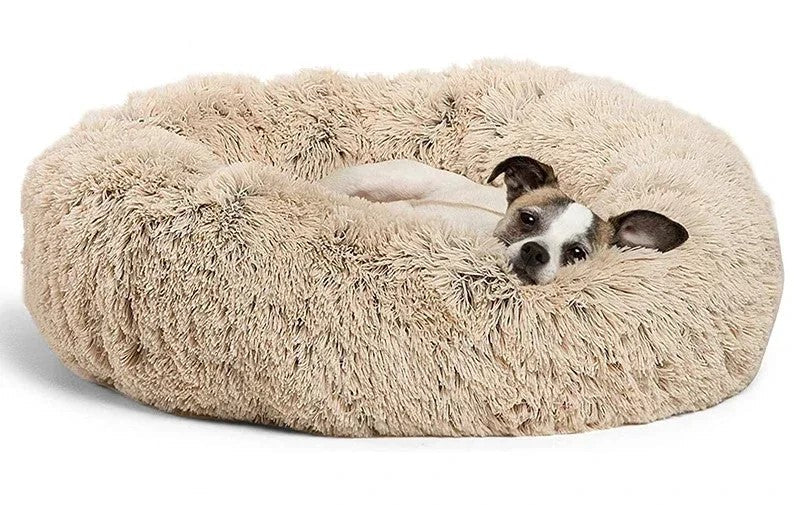 Cachorro deitado confortavelmente em cama redonda peluciada
