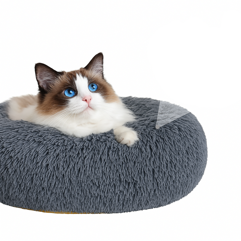 Gato de olhos azuis deitado confortavelmente em cama redonda fofa
